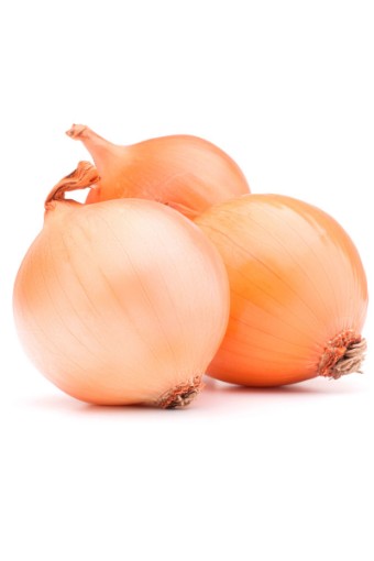 KURU SOĞAN TAZE *KG*. ürün görseli