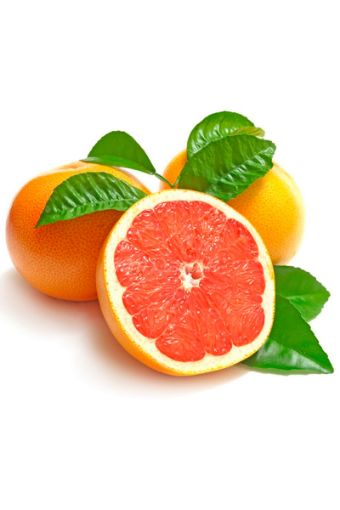 GREYFURT *KG*. ürün görseli